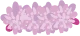Faja de flores rosas